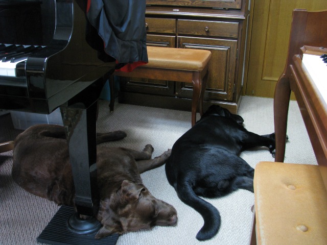 d0081210_06394.jpg