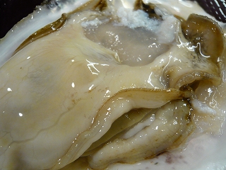 山形の丸ナス_f0157910_1545847.jpg