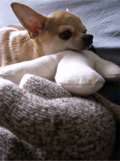 e0040114_17113583.jpg