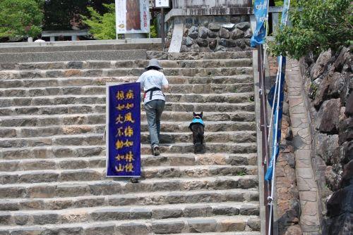 躑躅が崎館と武田神社_d0143526_16535938.jpg