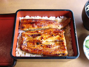 f0028928_01641.jpg