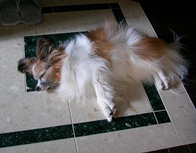 c0038434_16541815.jpg
