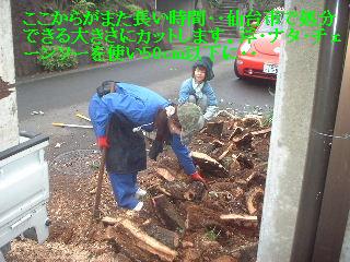 伐採終了_f0031037_20583133.jpg