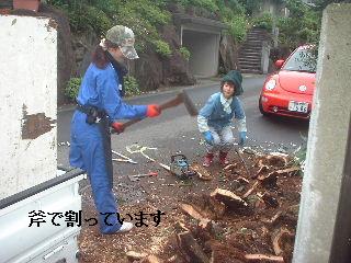 伐採終了_f0031037_20584349.jpg