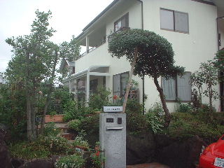 伐採終了_f0031037_20585698.jpg