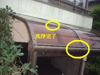 伐採終了_f0031037_20592957.jpg