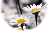 e0110940_22475576.gif