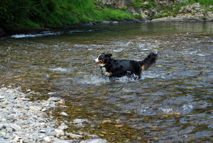 river　trekking_f0139642_163498.jpg