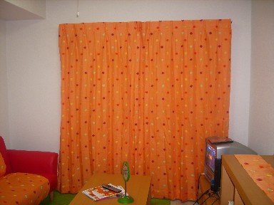 d0099850_11313318.jpg