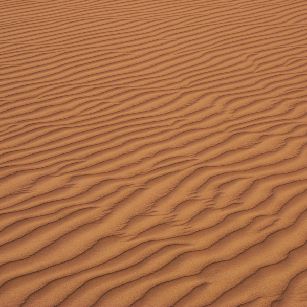 b0049152_18503512.jpg