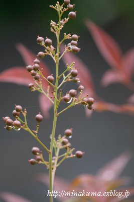 b0138370_14325987.jpg