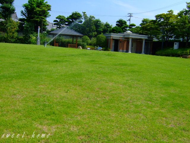 公園＊_f0163373_1371978.jpg