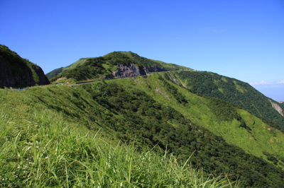 伊吹山のお花畑_c0151875_22595959.jpg