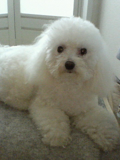 a0064476_20542929.jpg