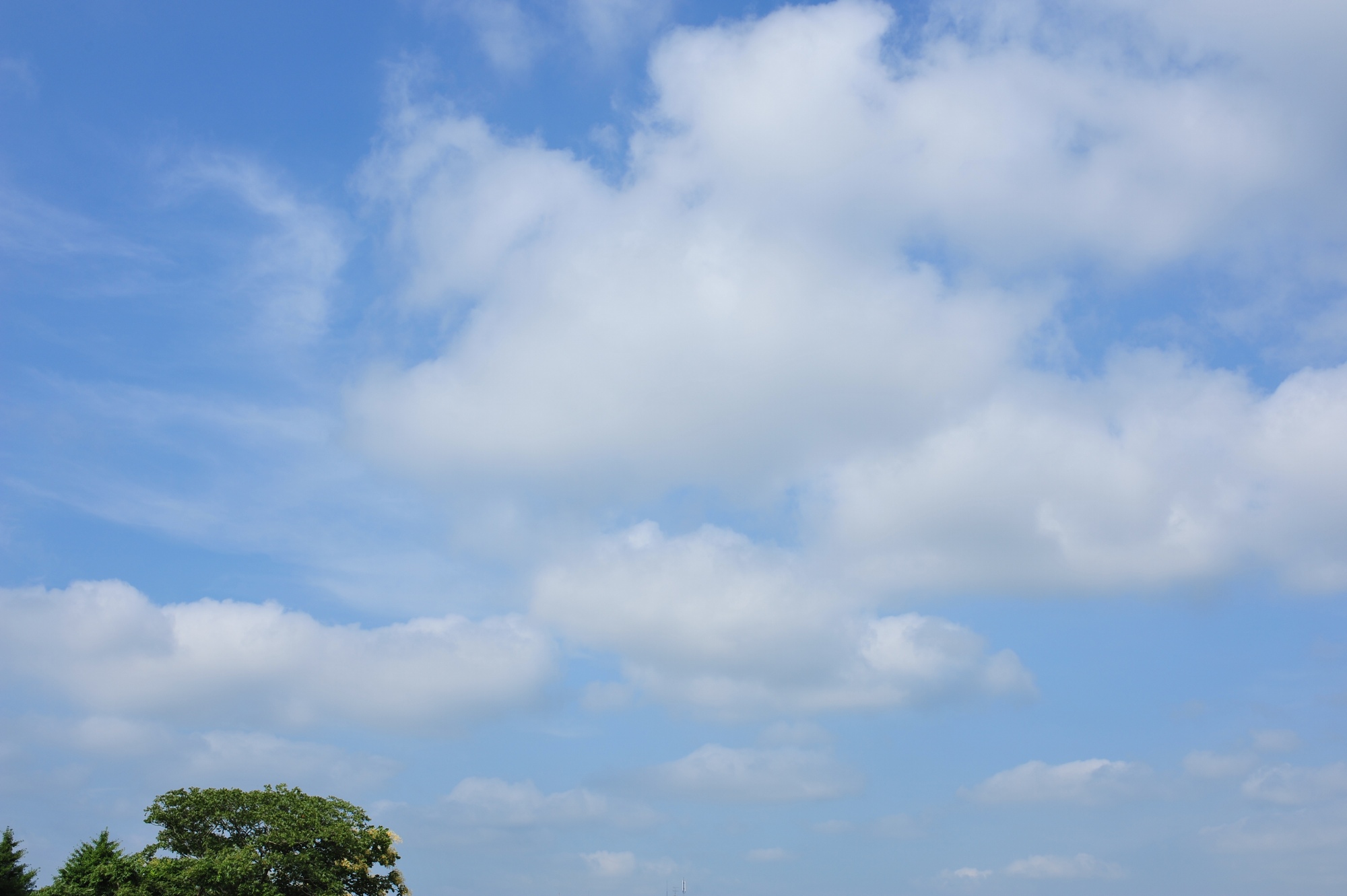 e0071178_182001.jpg