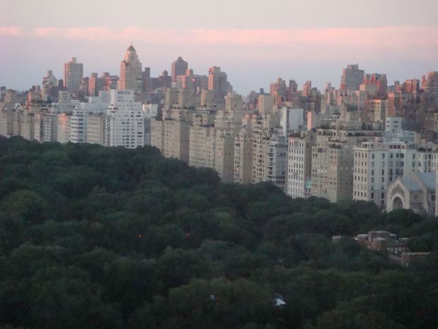 d0100880_20494081.jpg
