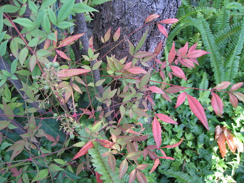 c0132387_24559.jpg