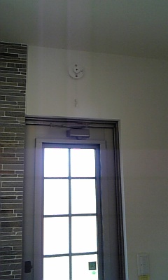 f0165392_215320.jpg