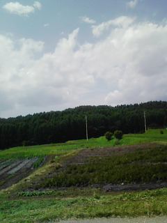 f0017897_9154524.jpg