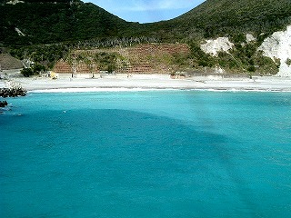 f0147602_1454869.jpg