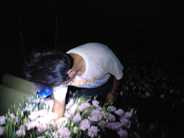 d0099708_8482196.jpg