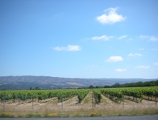 c0097611_1325652.jpg