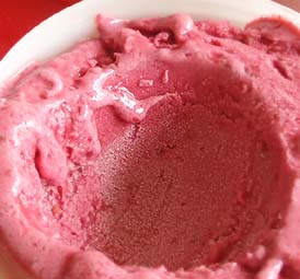 Black Berry Sorbet and Frozen Yogurt_e0067538_10454541.jpg
