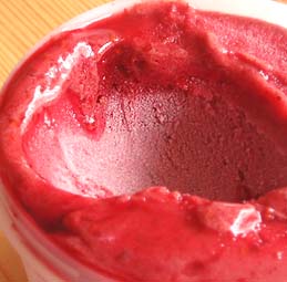 Black Berry Sorbet and Frozen Yogurt_e0067538_10455717.jpg