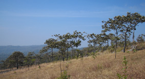 c0161046_1747214.jpg