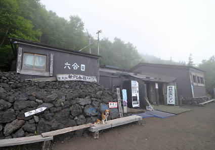 今年も富士山のハナちゃん_a0070350_13245778.jpg