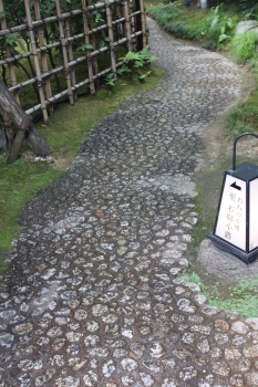 c0118352_10265521.jpg
