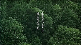 「殯（もがり）の森」に連なる森_d0136354_247974.jpg