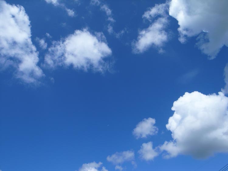 b0112661_22491942.jpg