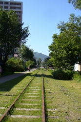 f0059671_03747.jpg