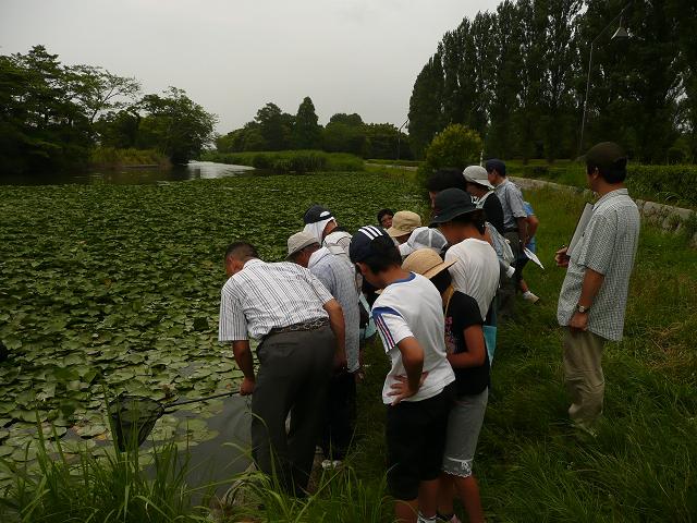 水生生物観察会_d0121678_2293844.jpg