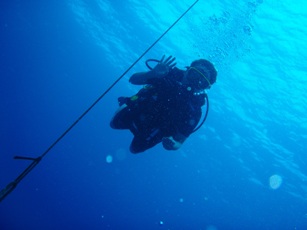 船上はともかく、水中は最高です!_f0144385_18474635.jpg