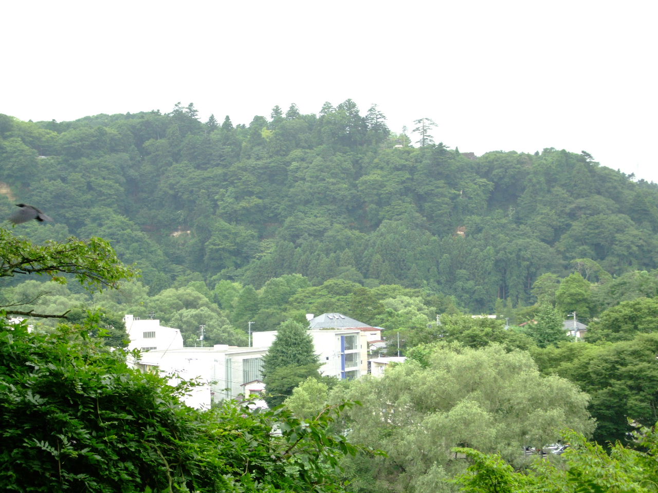 穴蔵神社と経ヶ峰散策路を通り向山へ抜ける_f0100593_14533117.jpg