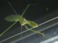 f0159403_22142868.jpg