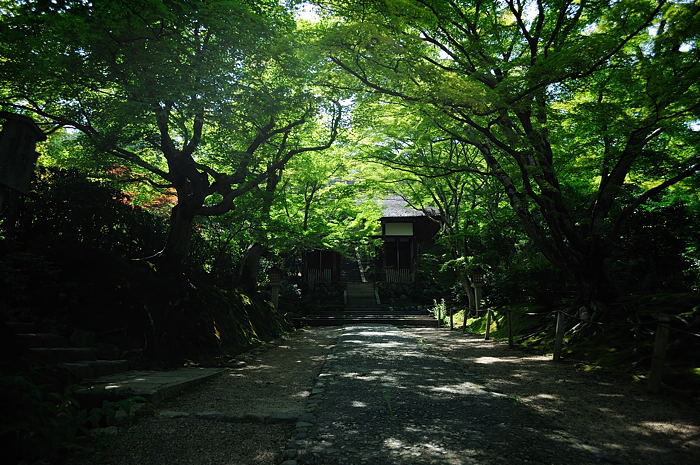 青葉色の嵐山~嵯峨野歩き 其の三_f0032011_19574766.jpg
