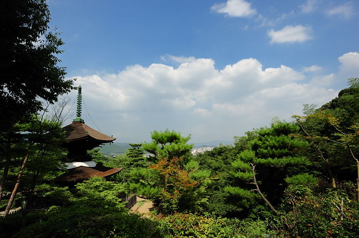 青葉色の嵐山~嵯峨野歩き 其の三_f0032011_19591574.jpg