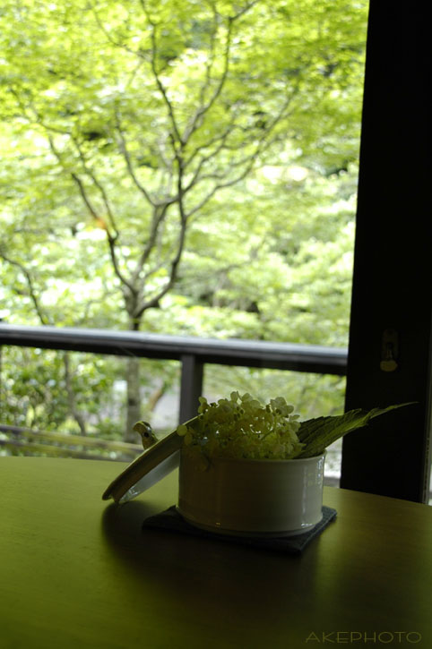 まだ元気な紫陽花（＾＾）v _e0127416_1512612.jpg