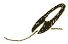 c0139023_14244250.gif