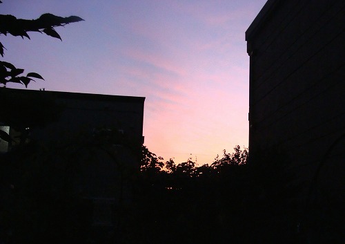 f0170524_141193.jpg