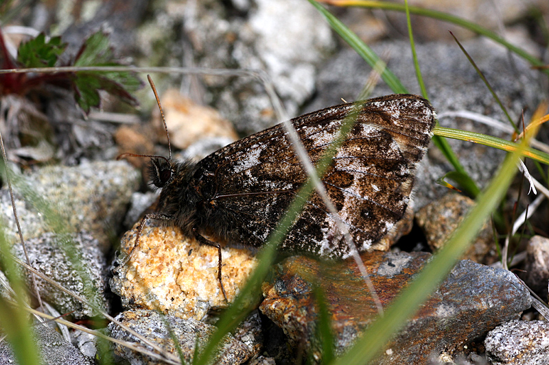 d0054625_2239531.jpg