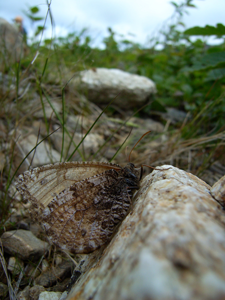 d0054625_2314140.jpg