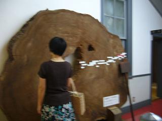 b0138430_11345614.jpg