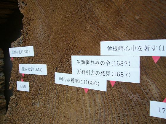 b0138430_11354968.jpg