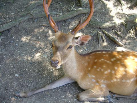 b0138430_12453945.jpg