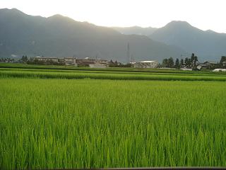 a0014840_22563887.jpg