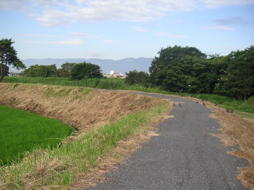 b0088444_22312312.jpg